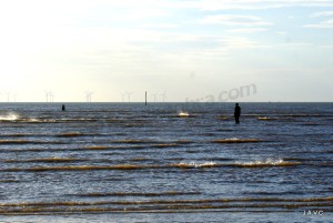 PLAYA DE CRISBY (LIVERPOOL)