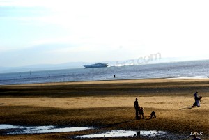 PLAYA DE CRISBY (LIVERPOOL)