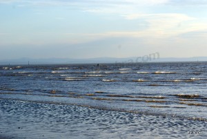 PLAYA DE CRISBY (LIVERPOOL)