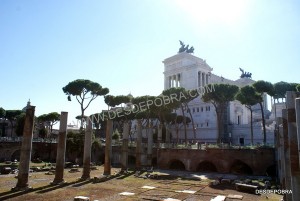 EN ROMA, SEP 2014