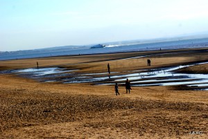 PLAYA DE CRISBY (LIVERPOOL)