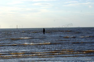 PLAYA DE CRISBY (LIVERPOOL)