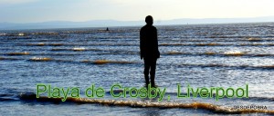 PLAYA DE CRISBY (LIVERPOOL)